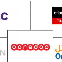 Top Network Operators in the Middle East